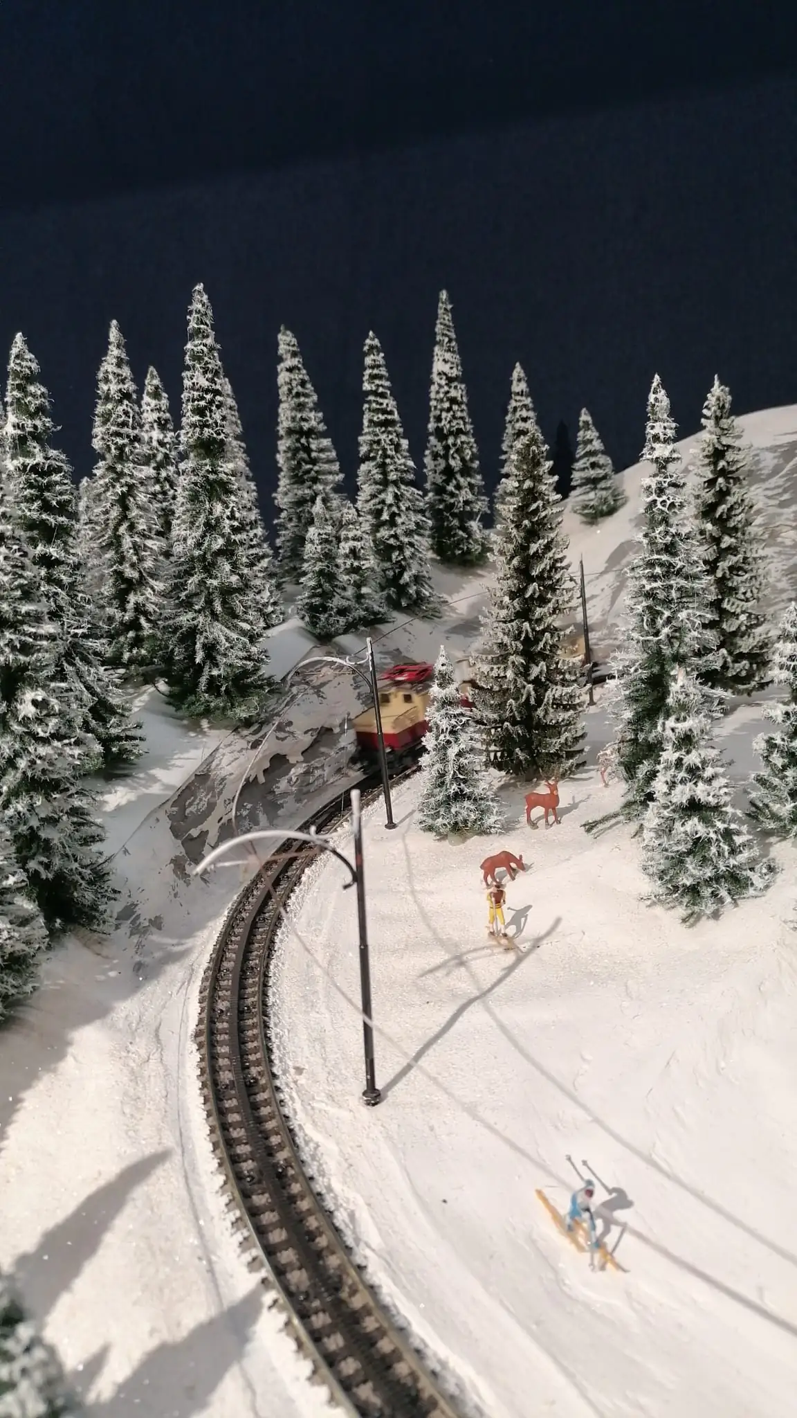 Visite au château de la Ville Chevalier Plouagat