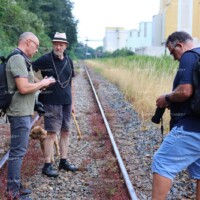 Balade à la gare de Baud